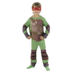 Turtles