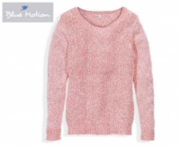 BLUE MOTION®Pulli 11.99 €