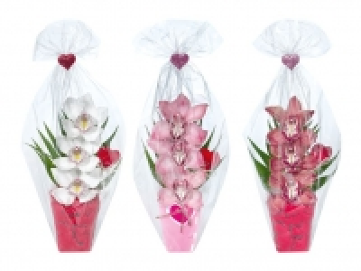 Orchideengesteck 3.99 €