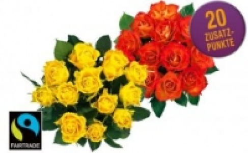 Edelrosen 2.99&nbsp;&euro;