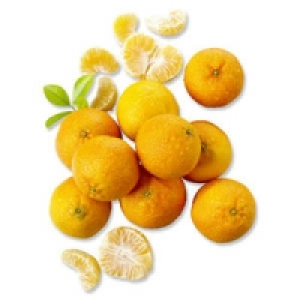Spanien Clementinen Nadorcott 1.79&nbsp;&euro;