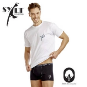 Herren-Shirts 12.99 €