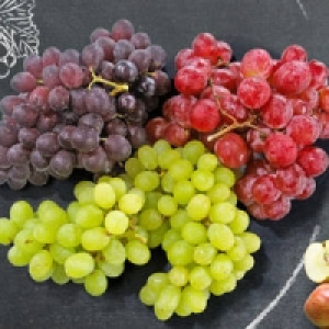 S&uuml;dafrika Tafeltrauben hell, kernlos 1.88&nbsp;&euro;