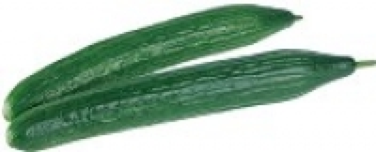 Schlangengurke 1.79 €
