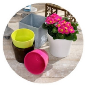 &Uuml;bertopf 0.79&nbsp;&euro;