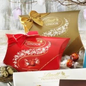 Lindor Kissenpackung 8.99&nbsp;&euro;