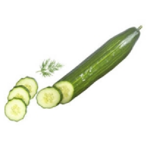 Spanien/Niederlande Salatgurken 0.59&nbsp;&euro;