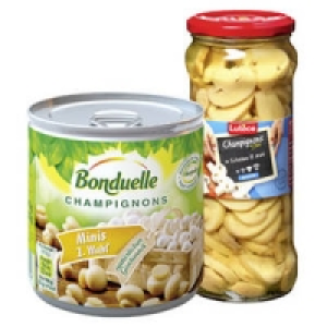 Bonduelle Champignons Minis Feinste Auslese oder Lut&egrave;ce Champignons in 1.29&nbsp;&euro;
