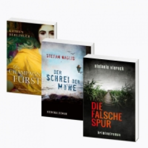 Taschenbuch-Roman 1.99 €
