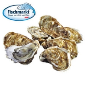 Felsenaustern 0.99 €