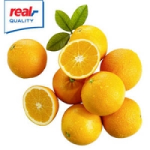 Spanien Orangen