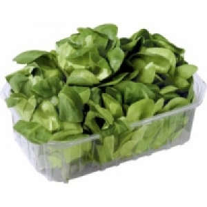 Feldsalat 0.99 €