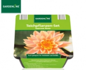 GARDENLINE®Teichpflanzen-Set