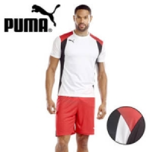 Trikot oder Shorts 14.99&nbsp;&euro;