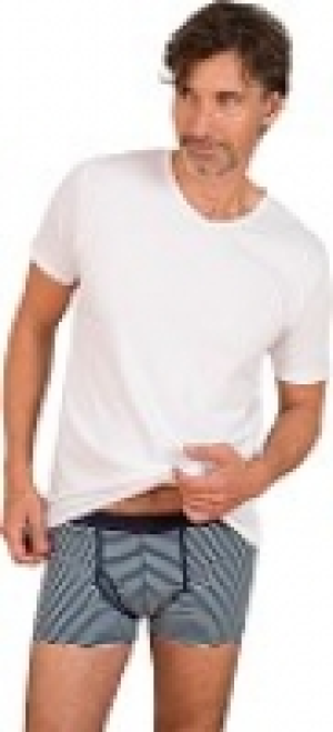 Herren-Shorts 22.90 €