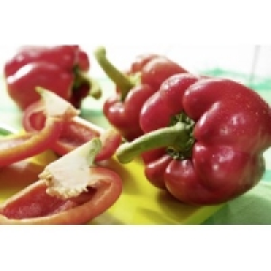 Paprika rot