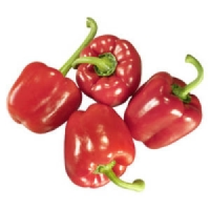 Spanien/Niederlande Paprika, rot 1.99&nbsp;&euro;