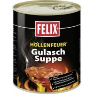 Felix Fertiggerichte