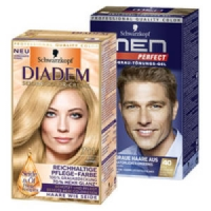 Diadem, Men Perfect oder Perfect Mousse Colorationen