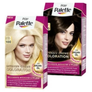 Poly Palette Coloration