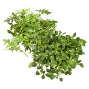 Frankreich/Deutschland Feldsalat oder Italien/Deutschland Rucola Salat 0.88&nbsp;&euro;
