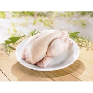 Fine Food Finestro Stubenk&uuml;ken 6.29&nbsp;&euro;