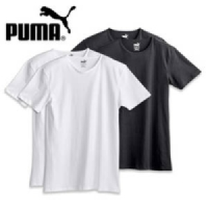 Herren-Shirts 19.99 €