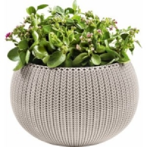 Pflanzk&uuml;bel Cozy Urban