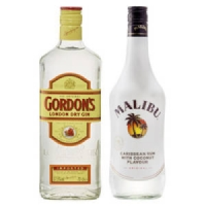 Malibu oder Gordons London Dry Gin