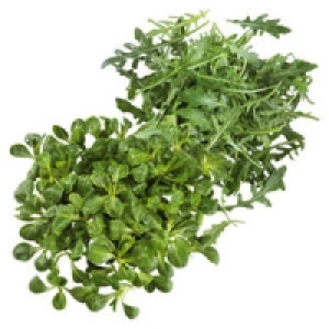 Deutschland/Frankreich Feldsalat oder Deutschland/Italien Rucola Salat 0.79&nbsp;&euro;