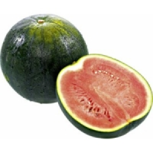 Wassermelonen Sugar Baby