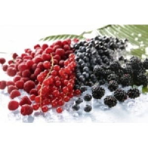 Johannisbeeren rot