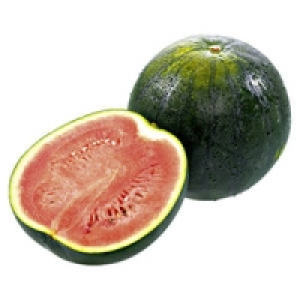 Spanien Wassermelonen