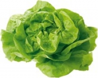 Salat 1.29 €