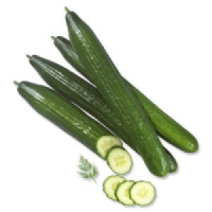 Deutschland/Niederlande Salatgurken