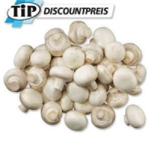 Niederlande/Polen Champignons, weiß
