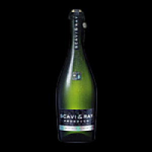 Scavi < Ray Prosecco Frizzante DOC 4.99&nbsp;&euro;