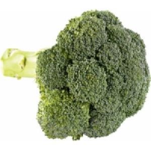 Broccoli