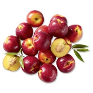 Spanien Nektarinen 1.69&nbsp;&euro;