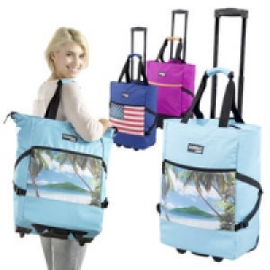 Einkaufsroller 2 in 1 19.99&nbsp;&euro;