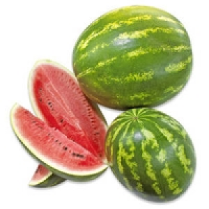 Spanien Mini-Wassermelonen