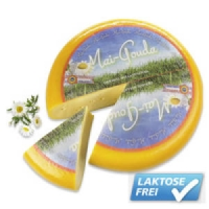 Mai-Gouda