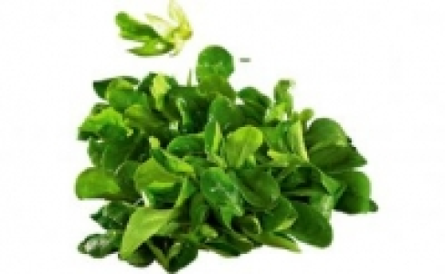 Feldsalat 0.79 €