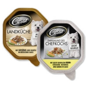 Cesar Hunde-Nassnahrung