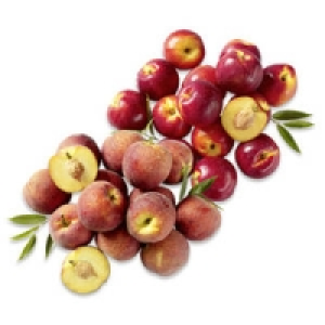 Italien/Spanien Nektarinen oder Pfirsiche