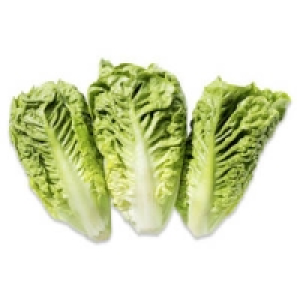 Salatherzen aus Niedersachsen