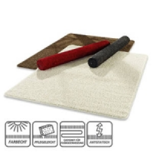 Hochflor-Teppich 29.95&nbsp;&euro;