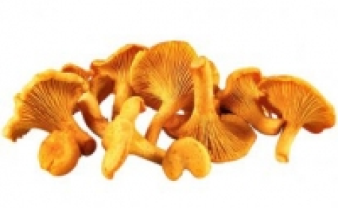 Pfifferlinge 3.99&nbsp;&euro;