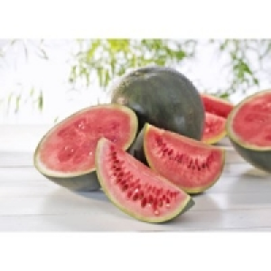 Wassermelonen Sugar Baby 1.89&nbsp;&euro;