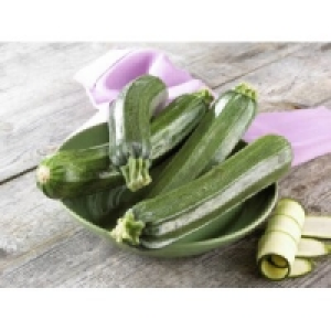 Zucchini